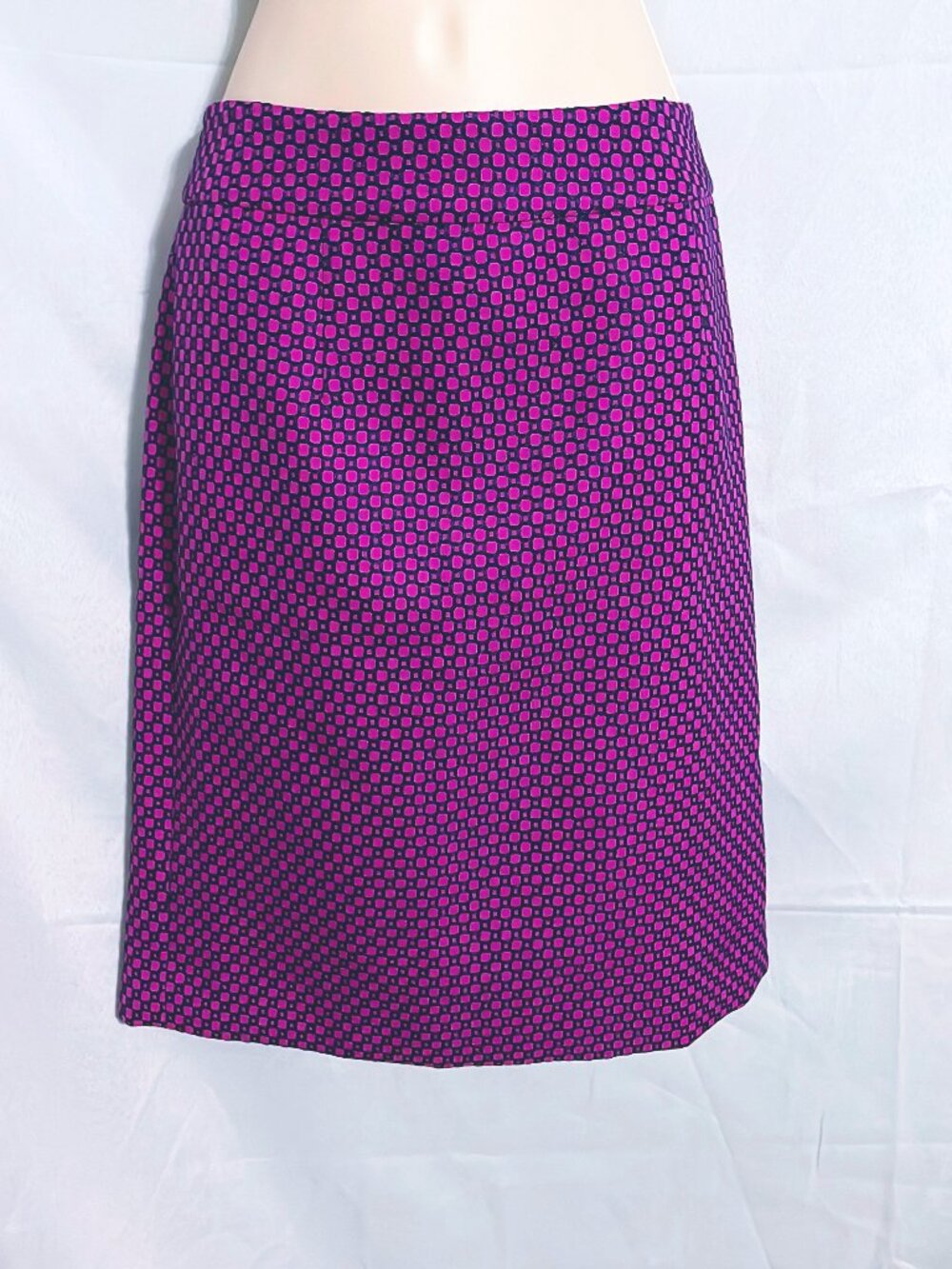 Banana Republic Purple & Blue Skirt Size 6